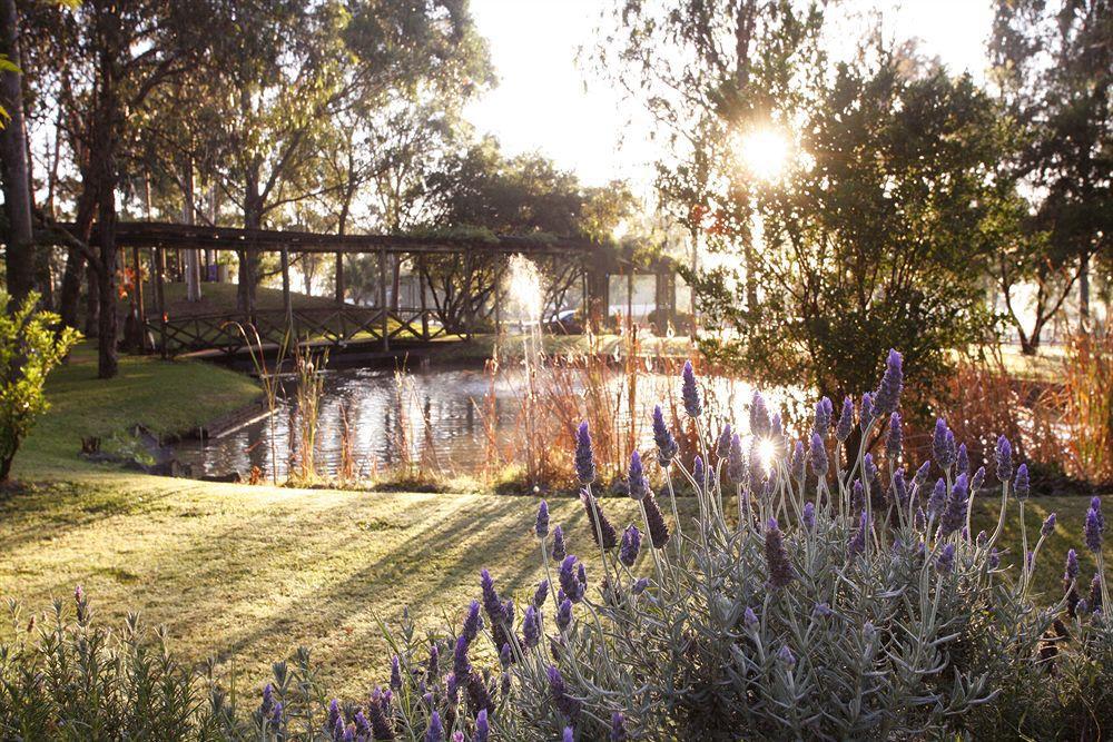 Hunter Valley Resort Pokolbin Eksteriør bilde
