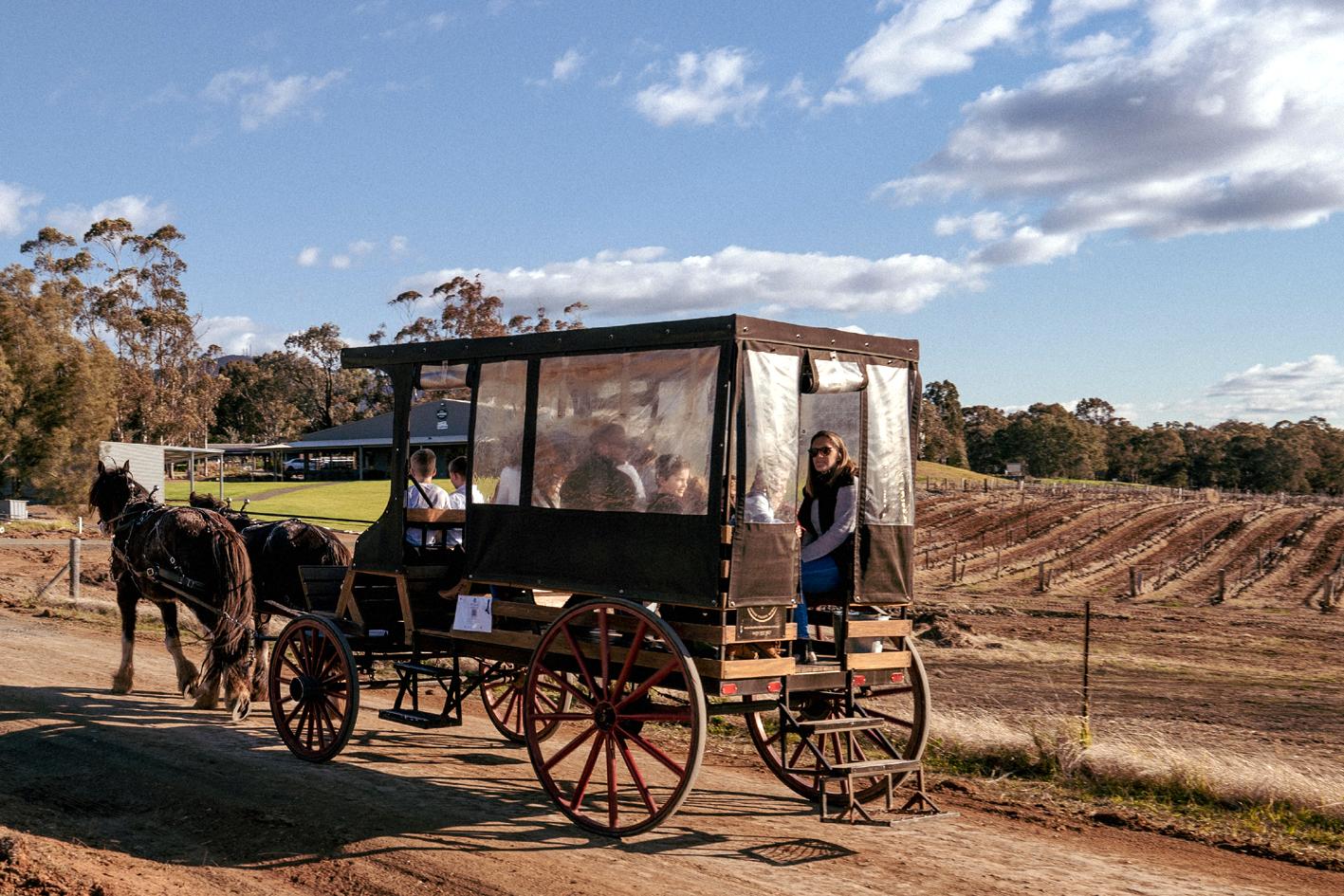 Hunter Valley Resort Pokolbin Eksteriør bilde