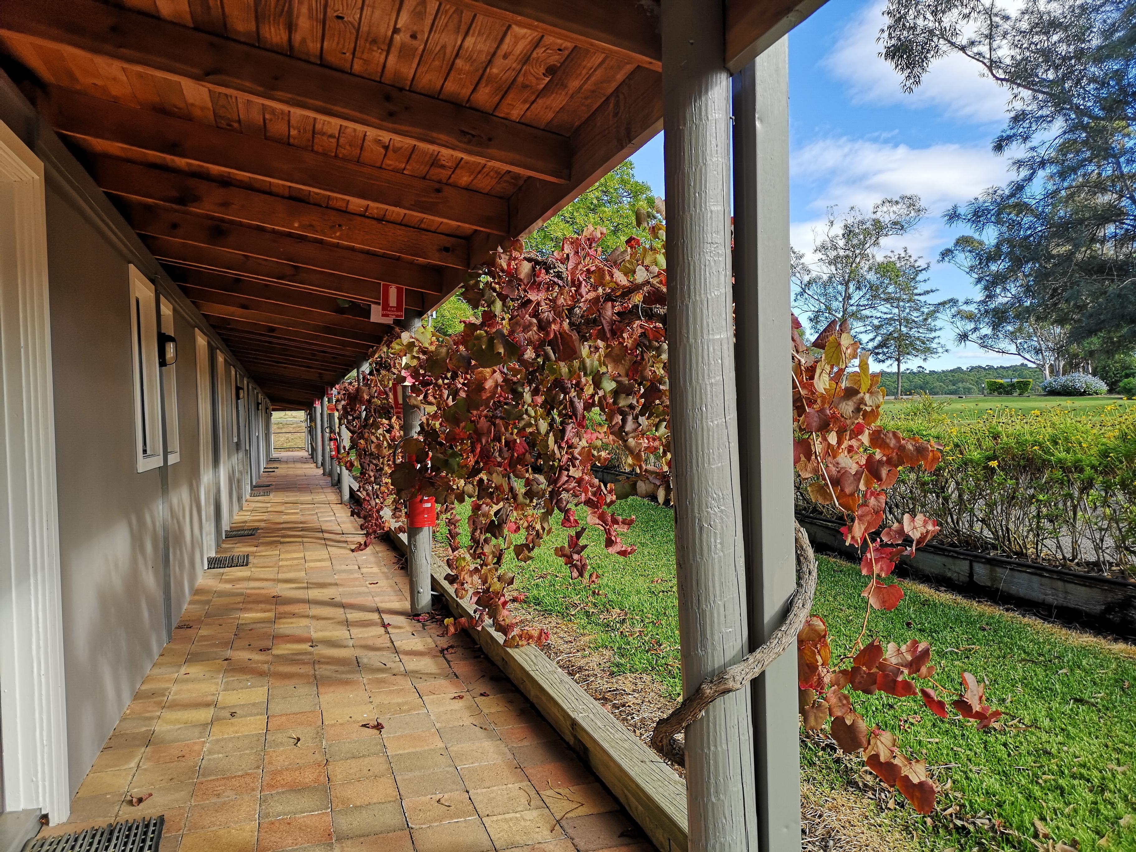 Hunter Valley Resort Pokolbin Eksteriør bilde