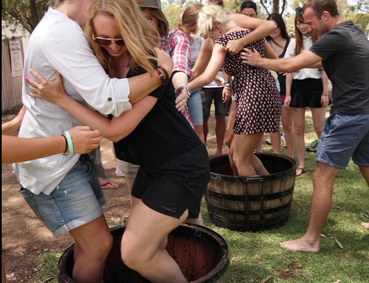 Hunter Valley Resort Pokolbin Eksteriør bilde